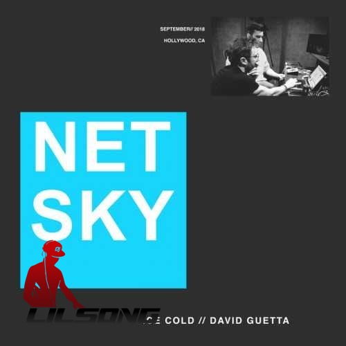 Netsky & David Guetta - Ice Cold